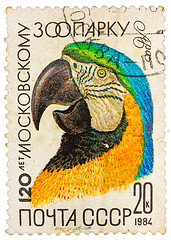 Image showing Stamp printed by Russia showing parrot, 120-th anniversary of th