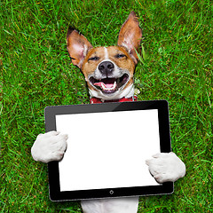 Image showing dog holding tablet