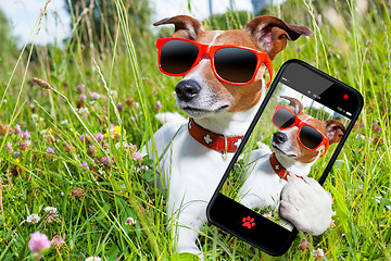 Image showing selfie dog in meadow 