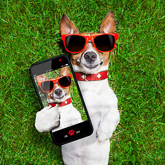 Image showing funny selfie dog