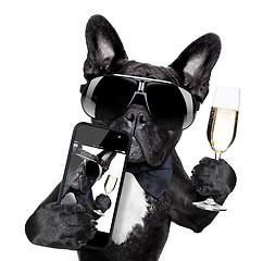 Image showing french bulldog selfie