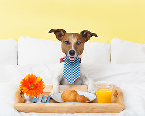 Image showing breakfast in bed