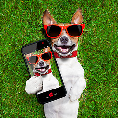 Image showing funny selfie dog