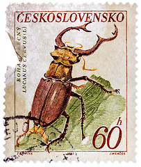 Image showing Postage Stamp Printed By Czechoslovakia, Shows Stag Beetle