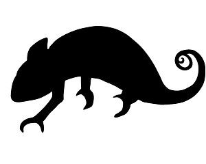 Image showing Chameleon silhouette