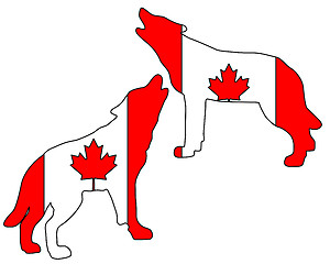 Image showing Canadian howling wolves