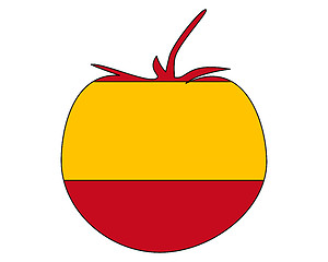 Image showing Spanish tomato