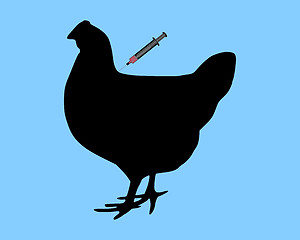 Image showing Hen gets an immunization against bird flu on blue background