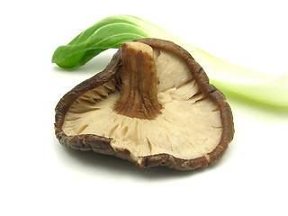 Image showing Shiitake and pak choi on white background