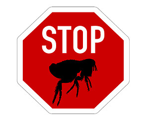 Image showing Stop sign for fleas