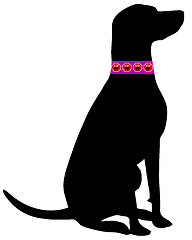 Image showing Dog flea collar