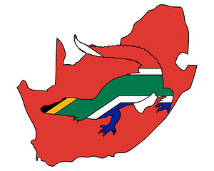 Image showing Crocodile South Africa