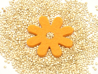 Image showing Quinoa and felt decoration