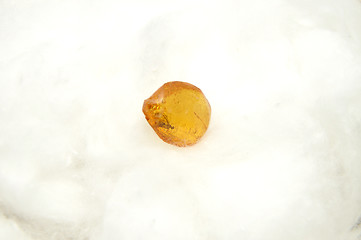 Image showing Amber  on cotton