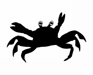 Image showing Crab