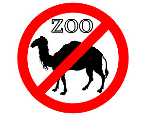 Image showing Camel in zoo prohibited