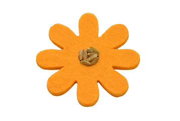 Image showing Unripe spelt grain and felt decoration