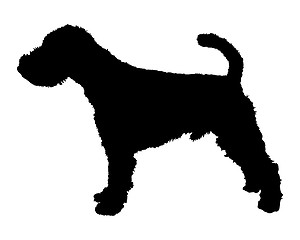 Image showing Welsh Terrier