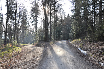 Image showing Forest roads