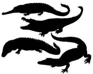 Image showing Reptile Silhouette