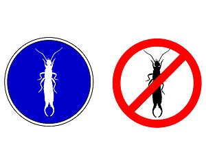 Image showing Earwig silhouettes