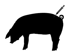 Image showing Swine gets an inoculation because of swine flu