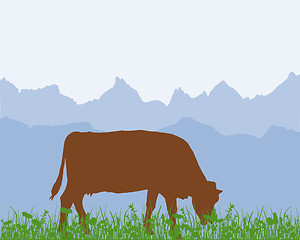 Image showing Cow in the alpine meadow