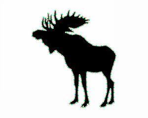 Image showing Moose with lucent border strip