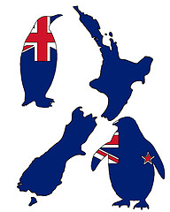Image showing Penguin New Zealand
