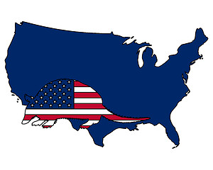 Image showing Armadillo United States of America