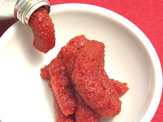 Image showing Tomato puree pressed out of a tomato tube in a little bowl