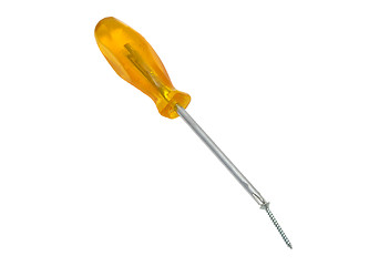 Image showing Crosstip screwdriver with screw