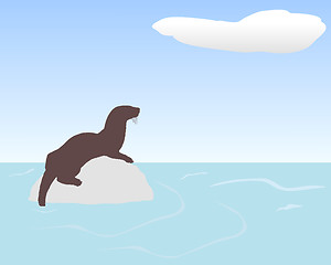 Image showing Otter on rock in water