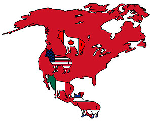 Image showing Coyote America