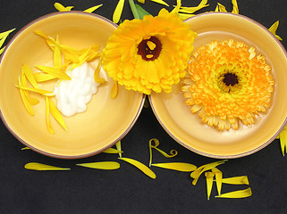 Image showing Water and creme of marigold on black background with petals and flower
