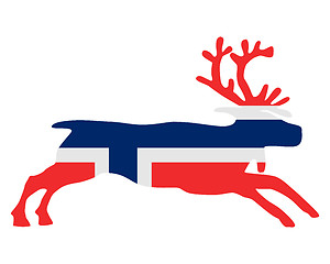 Image showing Norwegian reindeer