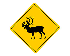 Image showing Caribou warning sign