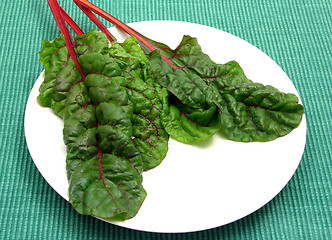 Image showing Four red stemmed chard leaves on white plate