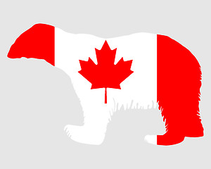 Image showing Canadian polar bear