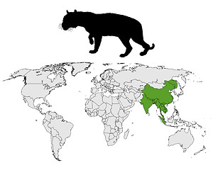 Image showing Tiger range