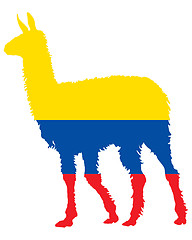 Image showing Lama Ecuador 