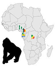 Image showing Africa Gorilla range