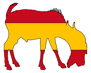 Image showing Spanish he-goat