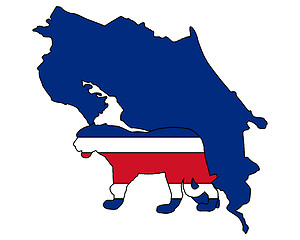 Image showing Jaguar Costa Rica