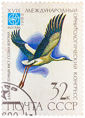 Image showing Stamp printed in USSR (Russia) shows a bird Ciconia boyciana wit