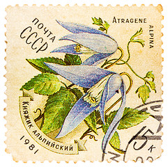 Image showing Stamp printed in USSR (CCCP, soviet union) shows alpine bluebell