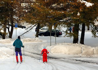 Image showing Skiing home