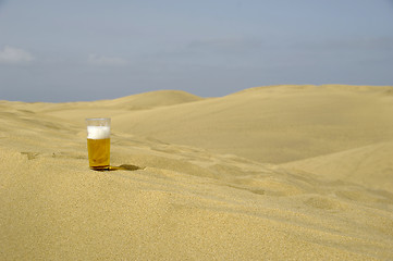 Image showing Fresh beer in desert