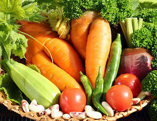 Image showing Fresh vegetables