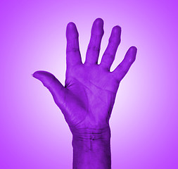 Image showing Hand symbol, saying five, saying hello or saying stop